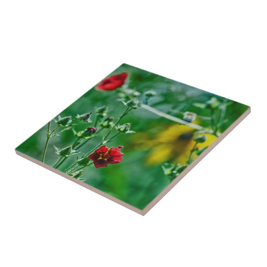 庭のフライバイ タイル (側面)