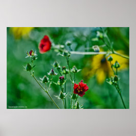 庭のフライバイ ポスター