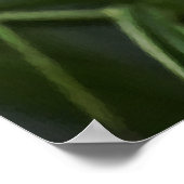 庭のポスターの輝き ポスター (角)