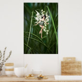 庭のポスターの輝き ポスター (キッチン)