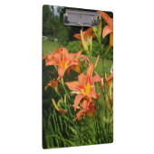 庭のユリ クリップボード (右)