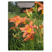 庭のユリ クリップボード (正面)