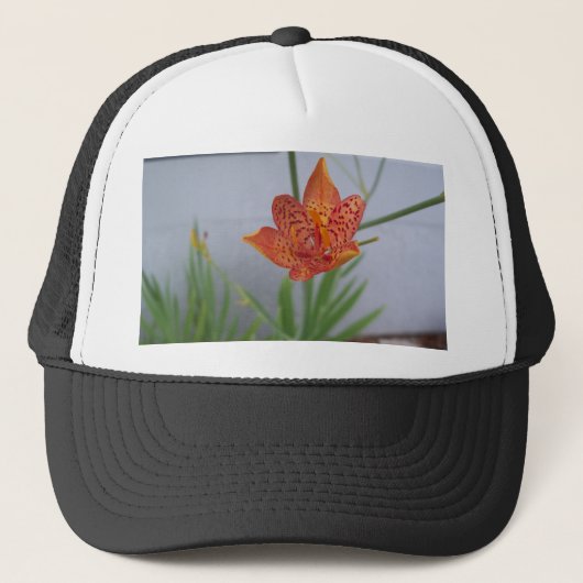 庭のライトオレンジ斑点ブラックベリーリリー キャップ (正面)