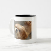 庭のラサアプソ犬 ツートーンマグカップ (正面左)