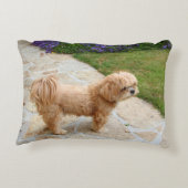 庭のラサ・アプソ犬 アクセントクッション (裏面)