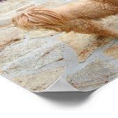 庭のラサ・アプソ犬 ポスター (角)