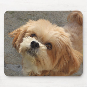 庭のラサ・アプソ犬 マウスパッド