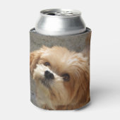 庭のラサ・アプソ犬 缶クーラー (缶正面)