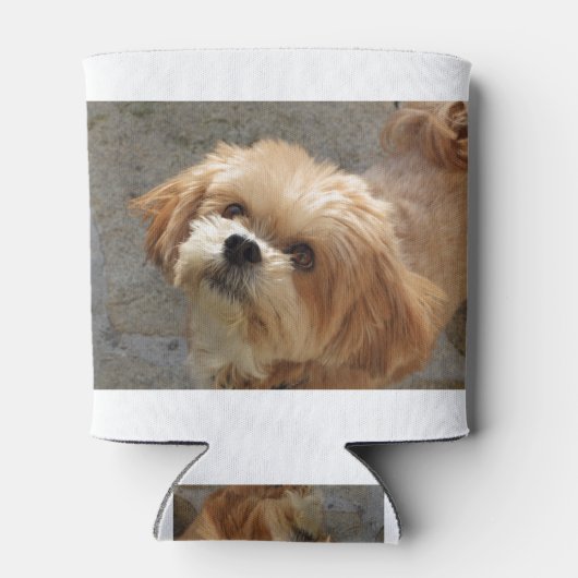 庭のラサ・アプソ犬 缶クーラー (裏面)