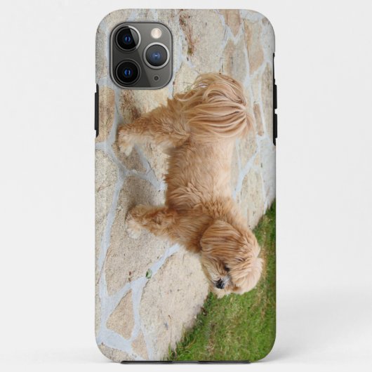 庭のラサ・アプソ犬 Case-Mate iPhoneケース (裏面)