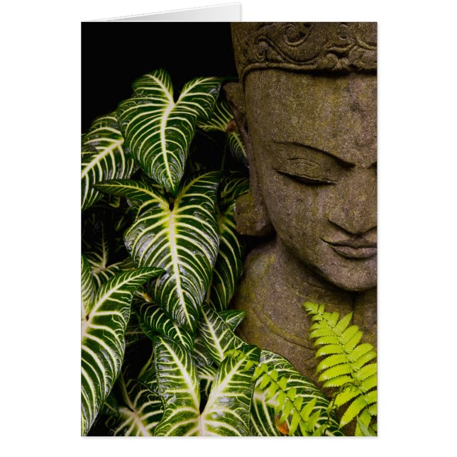 庭のローカルな情報の彫像: Chiang Ma (正面)