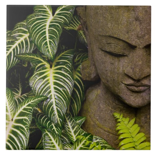 庭のローカルな情報の彫像: Chiang Ma タイル (正面)