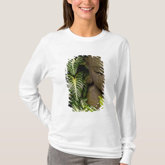 庭のローカルな情報の彫像: Chiang Ma Tシャツ (正面)