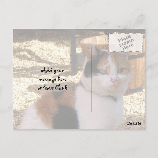 庭の三毛猫 ポストカード (裏面)