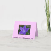 庭の中でありがとう空白の サンキューカード (裏面)