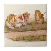 庭の代理のモルモット タイル (正面)