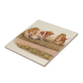 庭の代理のモルモット タイル (側面)