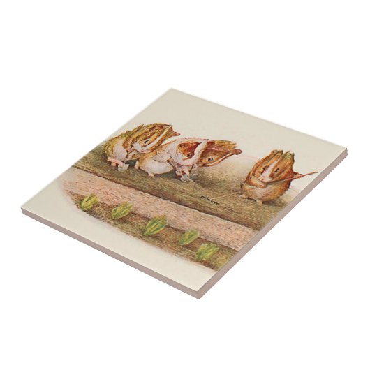 庭の代理のモルモット タイル (側面)