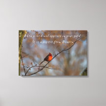 庭の写真に（鳥）ショウジョウコウカンチョウが現れた場合