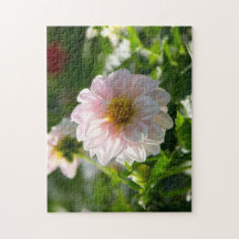 庭の写真の白いダリア