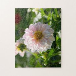 庭の写真の白いダリア ジグソーパズル