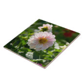 庭の写真の白いダリア タイル (側面)