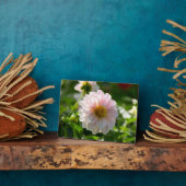 庭の写真の白いダリア フォトプラーク (側面)