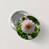 庭の写真の白いダリア 缶バッジ (正面&裏面)