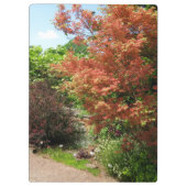 庭の写真の緑豊かな春公園道文字 クリップボード (裏面)