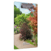 庭の写真の緑豊かな春公園道文字 クリップボード (右)