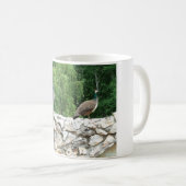 庭の写真Magのピーコック コーヒーマグカップ (正面右)