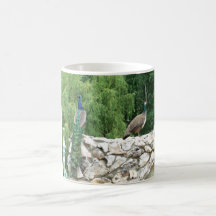 庭の写真Magのピーコック