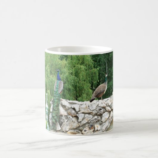庭の写真Magのピーコック コーヒーマグカップ (中央)