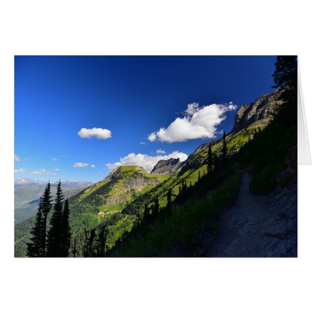 庭の壁の広角の眺め (正面横)