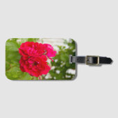 庭の大きな赤いバラ ラゲッジタグ (正面横)