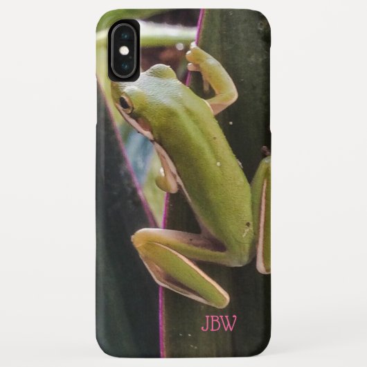 庭の小さなカエル Case-Mate iPhoneケース (裏面)