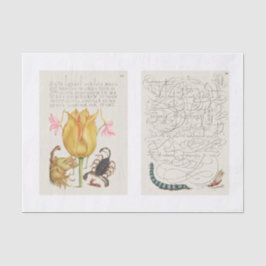 庭の昆虫のフローラ書道の切り離し 薄葉紙