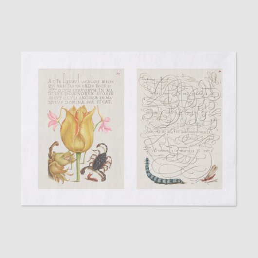 庭の昆虫のフローラ書道の切り離し 薄葉紙 (正面)