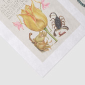 庭の昆虫のフローラ書道の切り離し 薄葉紙 (詳細)