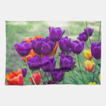 庭の晴れた日に濃い紫のチューリップ