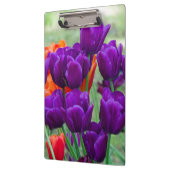 庭の晴れた日に濃い紫のチューリップ クリップボード (左)