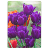 庭の晴れた日に濃い紫のチューリップ クリップボード (裏面)