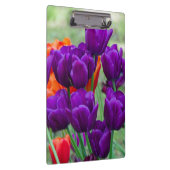 庭の晴れた日に濃い紫のチューリップ クリップボード (右)