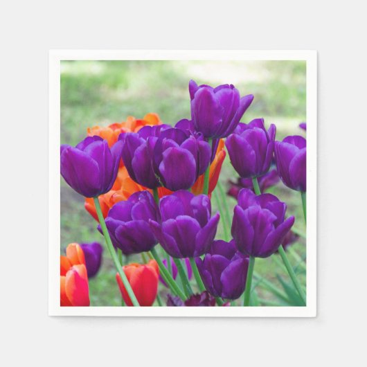 庭の晴れた日に濃い紫のチューリップ スタンダードカクテルナプキン (正面)