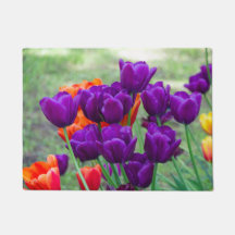 庭の晴れた日に濃い紫のチューリップ