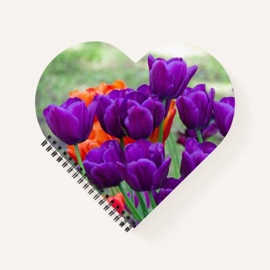 庭の晴れた日に濃い紫のチューリップ ノートブック (正面)