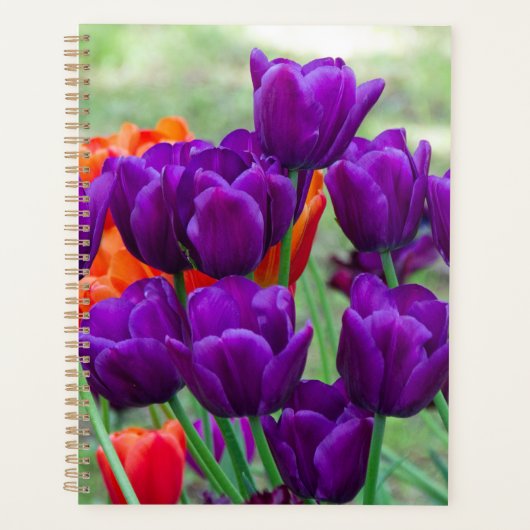 庭の晴れた日に濃い紫のチューリップ プランナー手帳 (正面)