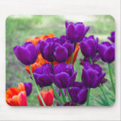 庭の晴れた日に濃い紫のチューリップ マウスパッド (正面)