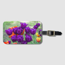 庭の晴れた日に濃い紫のチューリップ