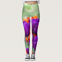 庭の晴れた日に濃い紫のチューリップ